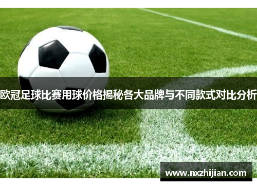 欧冠足球比赛用球价格揭秘各大品牌与不同款式对比分析