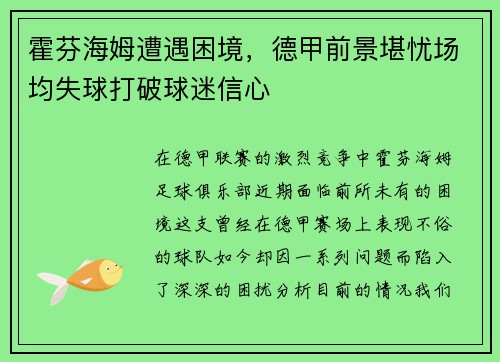 霍芬海姆遭遇困境，德甲前景堪忧场均失球打破球迷信心